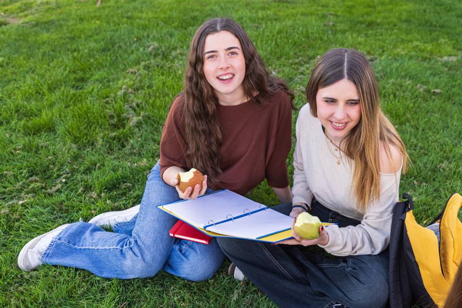 Students studying together outdoors
